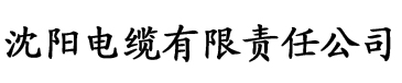 深夜影院电缆厂logo